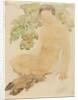Faunesse, c. 1905 by Auguste Rodin