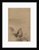 Fish and Rock, 16th century by Rinkyo