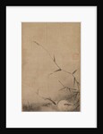 Fish and Seaweed, 16th century by Rinkyo