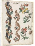 Floral Designs and Floral Bands, 1784 by Giacomo Cavenezia
