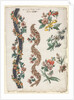 Floral Designs and Floral Bands, 1784 by Giacomo Cavenezia