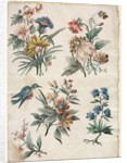 Floral Designs with a Blue Bird, c. 1773/74 by Giacomo Cavenezia