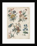 Floral Designs with a Blue Bird, c. 1773/74 by Giacomo Cavenezia
