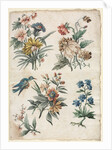 Floral Designs with a Blue Bird, c. 1773/74 by Giacomo Cavenezia