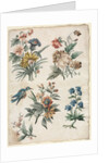 Floral Designs with a Blue Bird, c. 1773/74 by Giacomo Cavenezia
