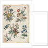 Floral Designs with a Blue Bird, c. 1773/74 by Giacomo Cavenezia