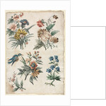 Floral Designs with a Blue Bird, c. 1773/74 by Giacomo Cavenezia