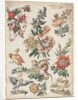 Floral Designs with Birds and Griffon, 1784 by Giacomo Cavenezia