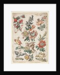 Floral Designs with Birds and Griffon, 1784 by Giacomo Cavenezia
