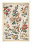 Floral Designs with Birds and Griffon, 1784 by Giacomo Cavenezia