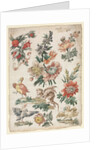 Floral Designs with Birds and Griffon, 1784 by Giacomo Cavenezia