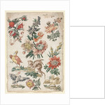 Floral Designs with Birds and Griffon, 1784 by Giacomo Cavenezia