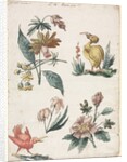 Floral Designs with Two Birds, 1774 by Giacomo Cavenezia