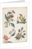 Floral Designs with Two Birds, 1774 by Giacomo Cavenezia