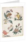Floral Designs with Two Birds, 1774 by Giacomo Cavenezia