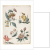 Floral Designs with Two Birds, 1774 by Giacomo Cavenezia