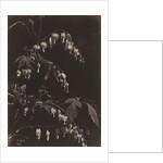 Floral Still Life, c. 1865 by Charles Aubry