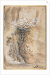 Flowering Bush above an Eroded Bank, 1565-1570 by Federico Barocci
