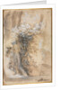Flowering Bush above an Eroded Bank, 1565-1570 by Federico Barocci