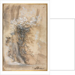 Flowering Bush above an Eroded Bank, 1565-1570 by Federico Barocci