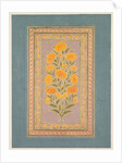 Flowering Marigold, c. 1765 by Hunhar II (style of)