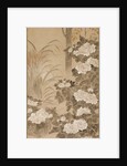 Flowers and Foliage of Autumn, mid 1700s by Tatebayashi Kagei