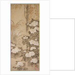 Flowers and Foliage of Autumn, mid 1700s by Tatebayashi Kagei