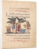 Folio from an Arabic translation of the Materia Medica of Dioscorides, 1224 by Abdallah ibn al-Fadl
