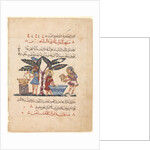Folio from an Arabic translation of the Materia Medica of Dioscorides, 1224 by Abdallah ibn al-Fadl