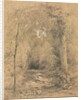 Forest Interior, c. 1870 by John Henry Hill