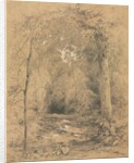 Forest Interior, c. 1870 by John Henry Hill
