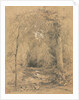 Forest Interior, c. 1870 by John Henry Hill