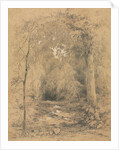 Forest Interior, c. 1870 by John Henry Hill
