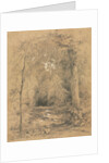 Forest Interior, c. 1870 by John Henry Hill
