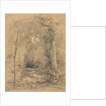 Forest Interior, c. 1870 by John Henry Hill