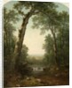 Forest Stream with Vista, 1872 by Asher Brown Durand