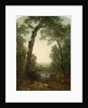 Forest Stream with Vista, 1872 by Asher Brown Durand
