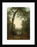 Forest Stream with Vista, 1872 by Asher Brown Durand