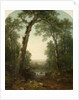 Forest Stream with Vista, 1872 by Asher Brown Durand