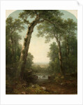 Forest Stream with Vista, 1872 by Asher Brown Durand