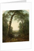 Forest Stream with Vista, 1872 by Asher Brown Durand