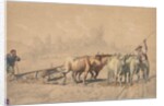 Four Oxen Pulling a Plough, 1853 by Constant Troyon