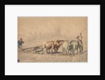 Four Oxen Pulling a Plough, 1853 by Constant Troyon