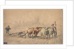 Four Oxen Pulling a Plough, 1853 by Constant Troyon