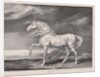 Fourteen Celebrated Horses: Adonis, 1824 by James Ward