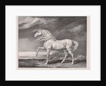 Fourteen Celebrated Horses: Adonis, 1824 by James Ward