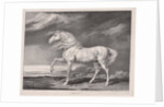 Fourteen Celebrated Horses: Adonis, 1824 by James Ward