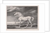 Fourteen Celebrated Horses: Adonis, 1824 by James Ward