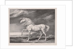 Fourteen Celebrated Horses: Adonis, 1824 by James Ward