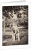 French Country Study: Two Boys Climbing a Tree, late 1870's by Auguste Giraudon's Artist